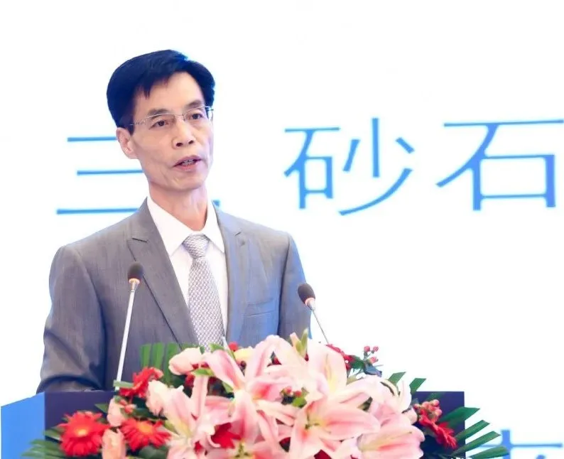 主旨報(bào)告 | 胡幼奕以國(guó)際化視角，提出固廢綜合利用和生態(tài)環(huán)境修復(fù)新思路